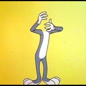 Meet your Posher, Ava